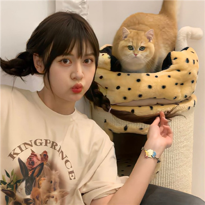安宁伴游女生星晓莉的资料